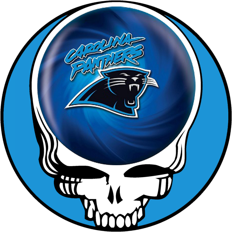 Carolina Panthers skull logo DIY iron on transfer (heat transfer)